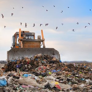 Sıfır Atık Hedefine Ulaşmak: Kurumsal Firmalar İçin Pratik Rehber